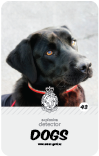 dog card : Hooper