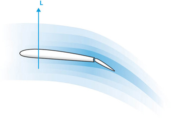 Figure 4 Effect of flap